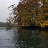 Review photo of Manatee Springs State Park Campground by Yankee D., July 1, 2019