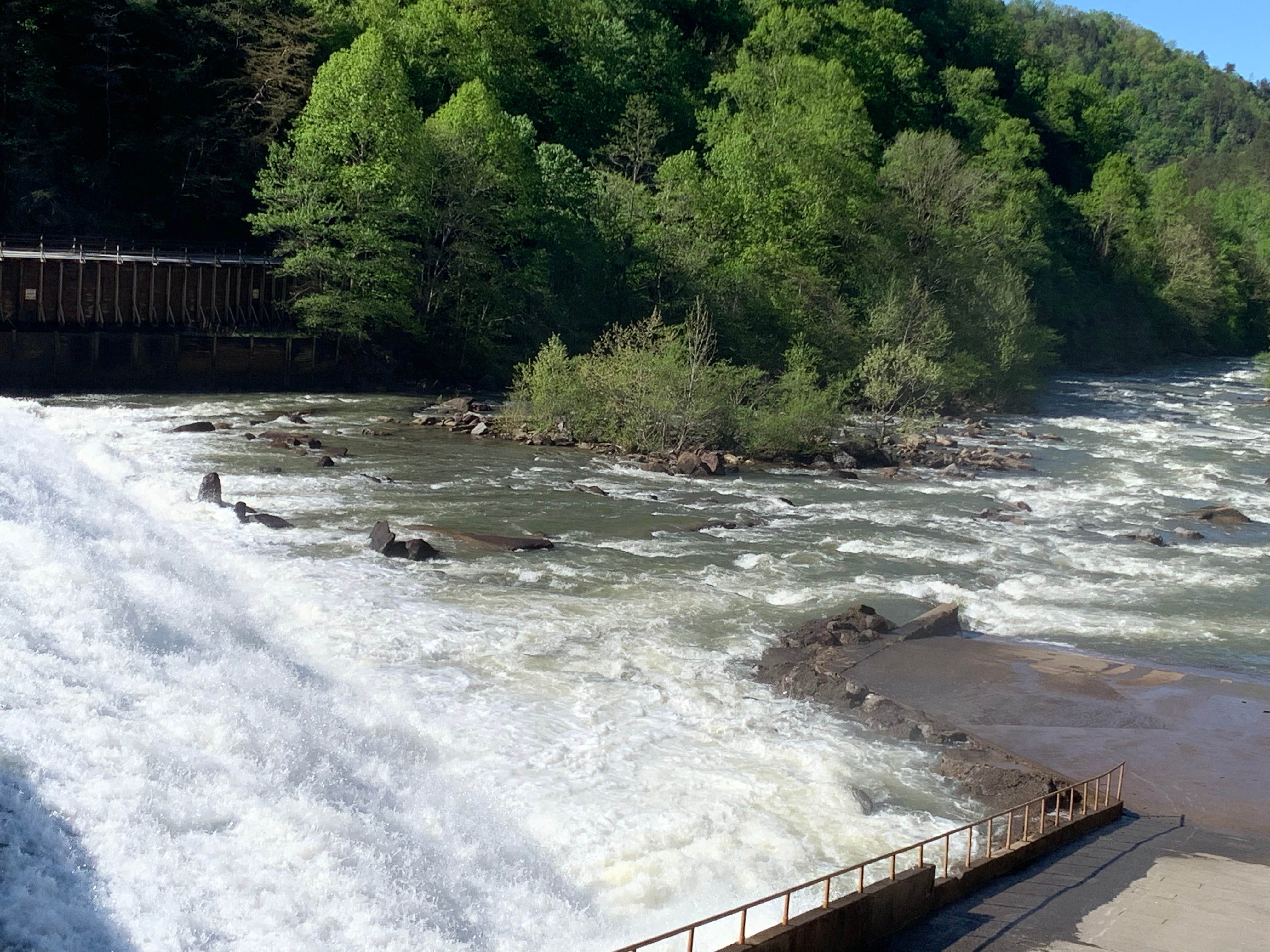 Camper submitted image from Parksville Lake RV Campground - 5
