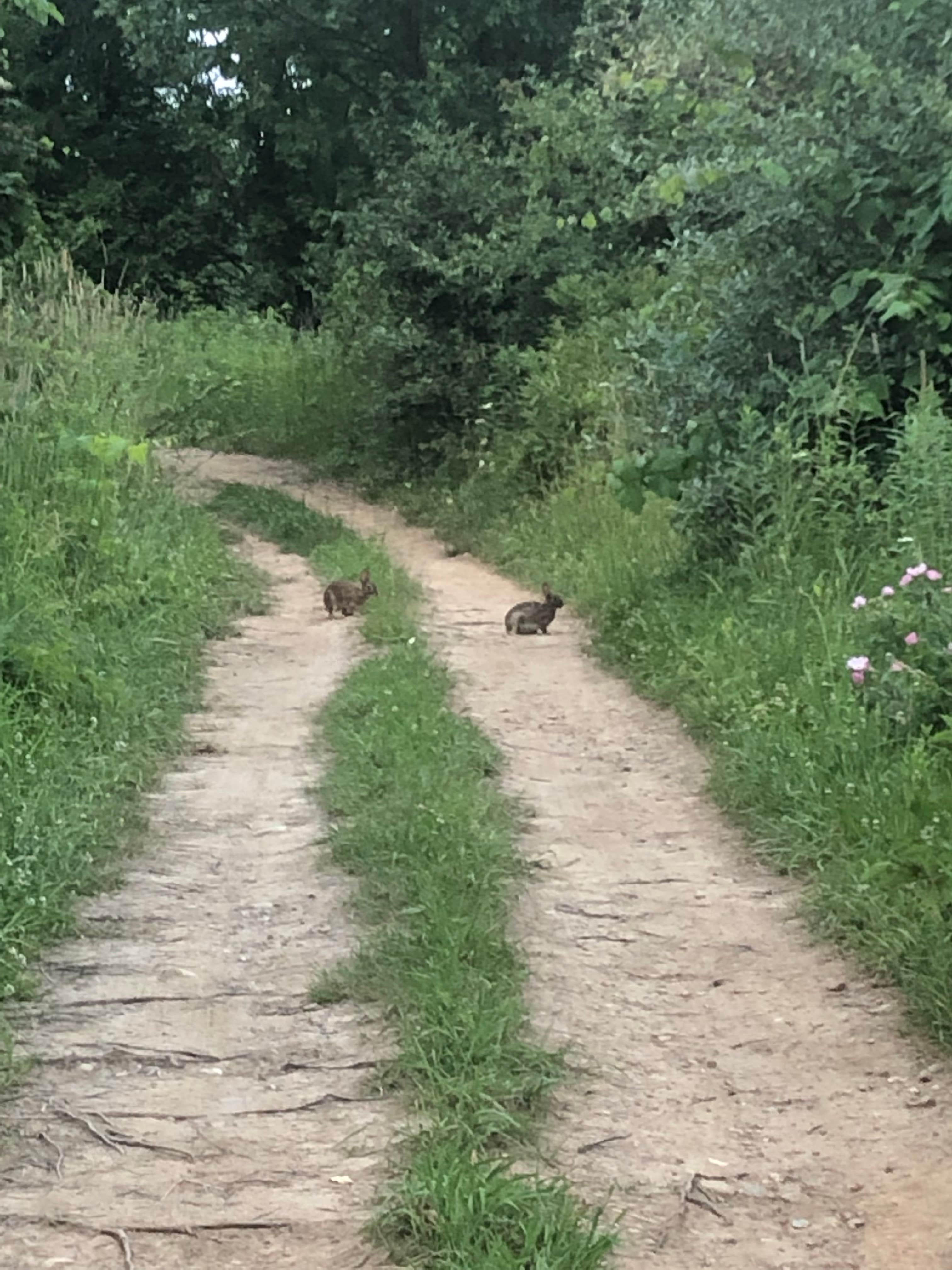 Camper-submitted photo at Indian Trail Campground near Greenwich, OH