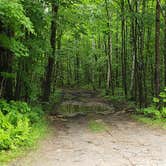 Review photo of Gale River Loop Road by Jean C., July 1, 2019