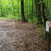 Review photo of Gale River Loop Road by Jean C., July 1, 2019