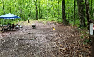Jean C.'s photo at Gale River Loop Road near Whitefield, NH