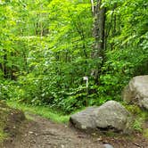 Review photo of Gale River Loop Road by Jean C., July 1, 2019