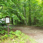 Review photo of Gale River Loop Road by Jean C., July 1, 2019