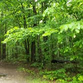 Review photo of Gale River Loop Road by Jean C., July 1, 2019