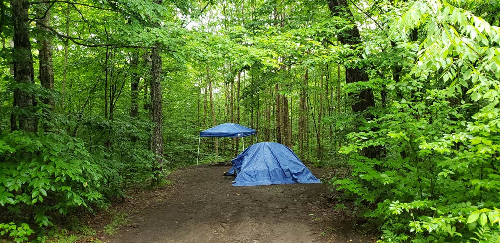 Jean C.'s photo at Gale River Loop Road near Deerfield, NH