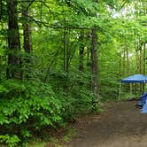 Review photo of Gale River Loop Road by Jean C., July 1, 2019