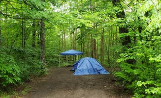 Jean C.'s photo at Gale River Loop Road near Littleton, NH