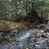Review photo of White River Campground — Mount Rainier National Park by iloveitontop R., September 6, 2016