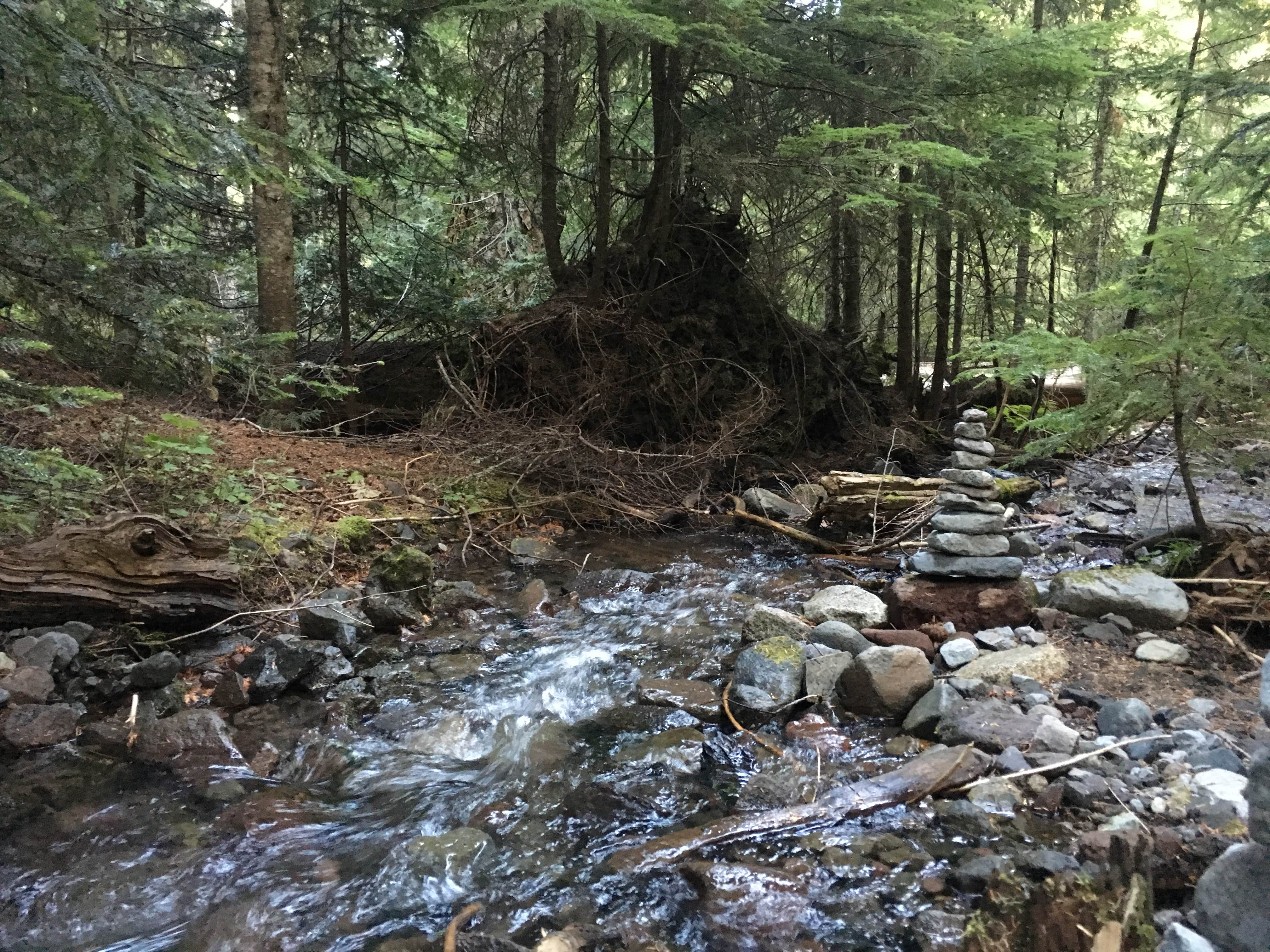 Camper submitted image from White River Campground — Mount Rainier National Park - 5