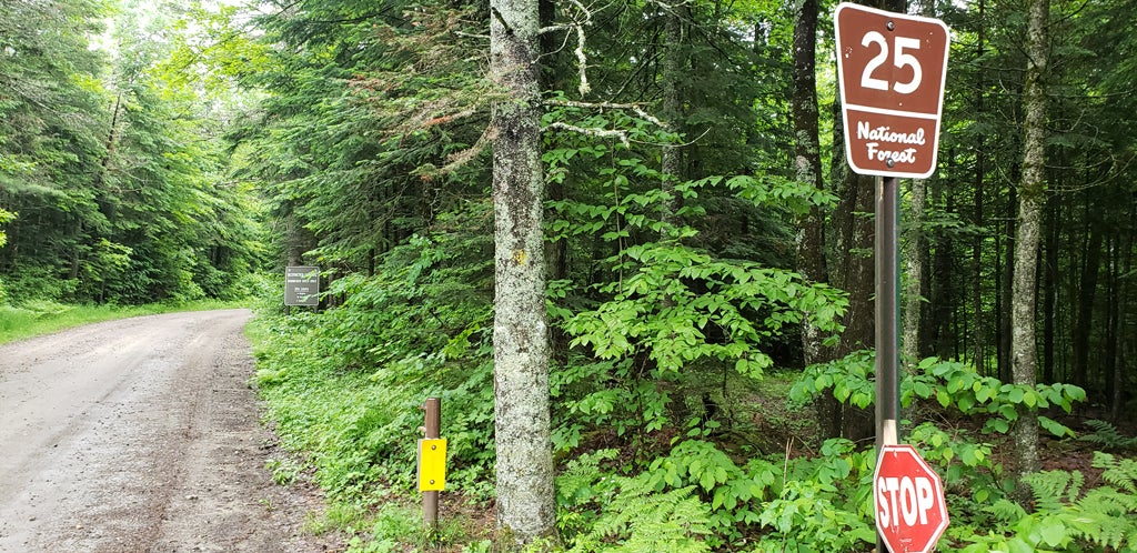 Entrance to Gale River Loop Rd