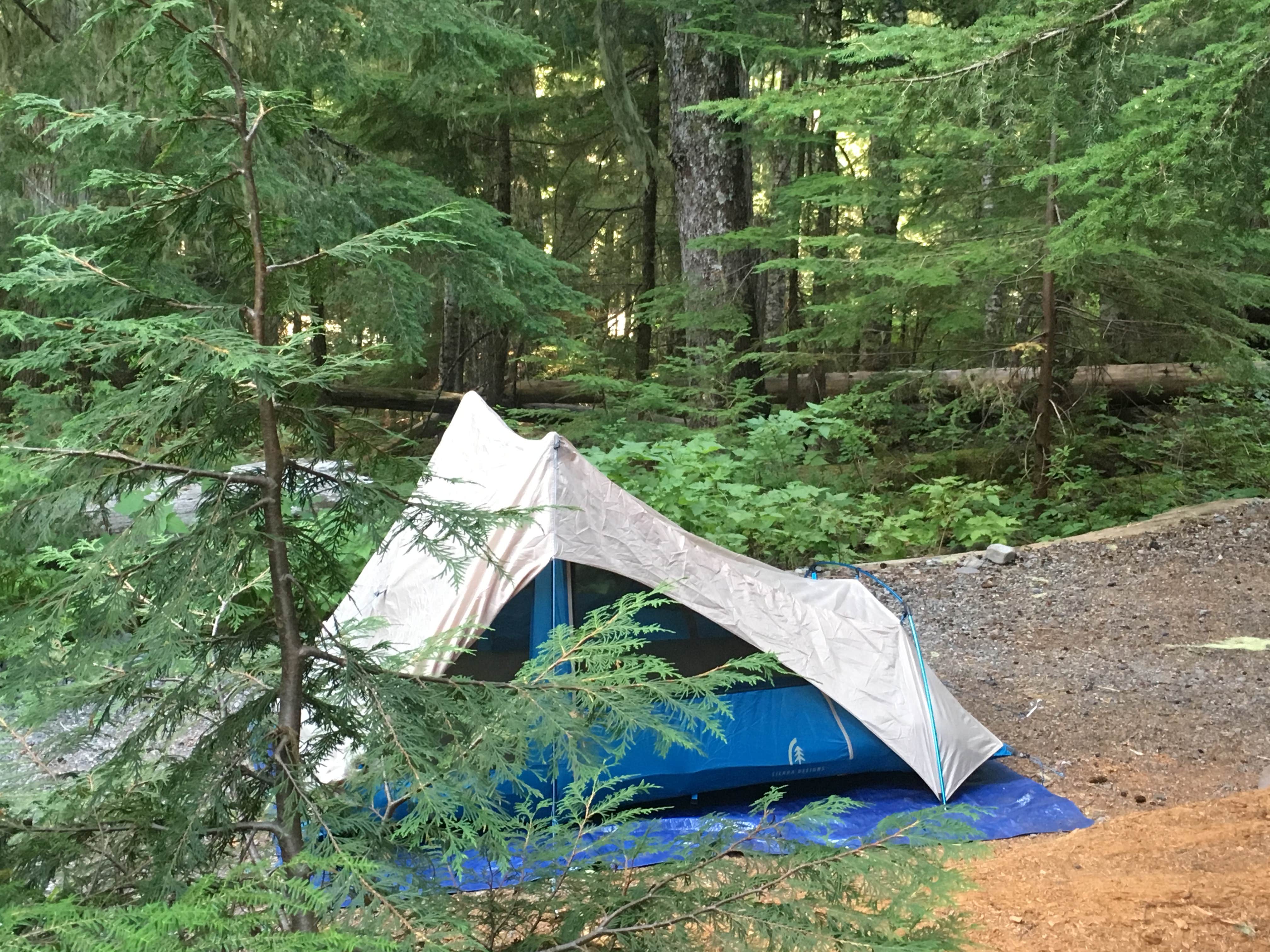 Camper submitted image from White River Campground — Mount Rainier National Park - 3