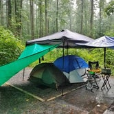 Review photo of Davidson River Campground by Myron C., July 1, 2019