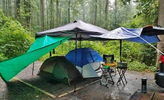 Myron C.'s photo at Davidson River Campground near Horse Shoe, NC
