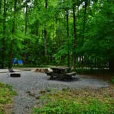 Review photo of Davidson River Campground by Myron C., July 1, 2019