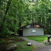 Review photo of Davidson River Campground by Myron C., July 1, 2019