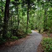 Review photo of Davidson River Campground by Myron C., July 1, 2019