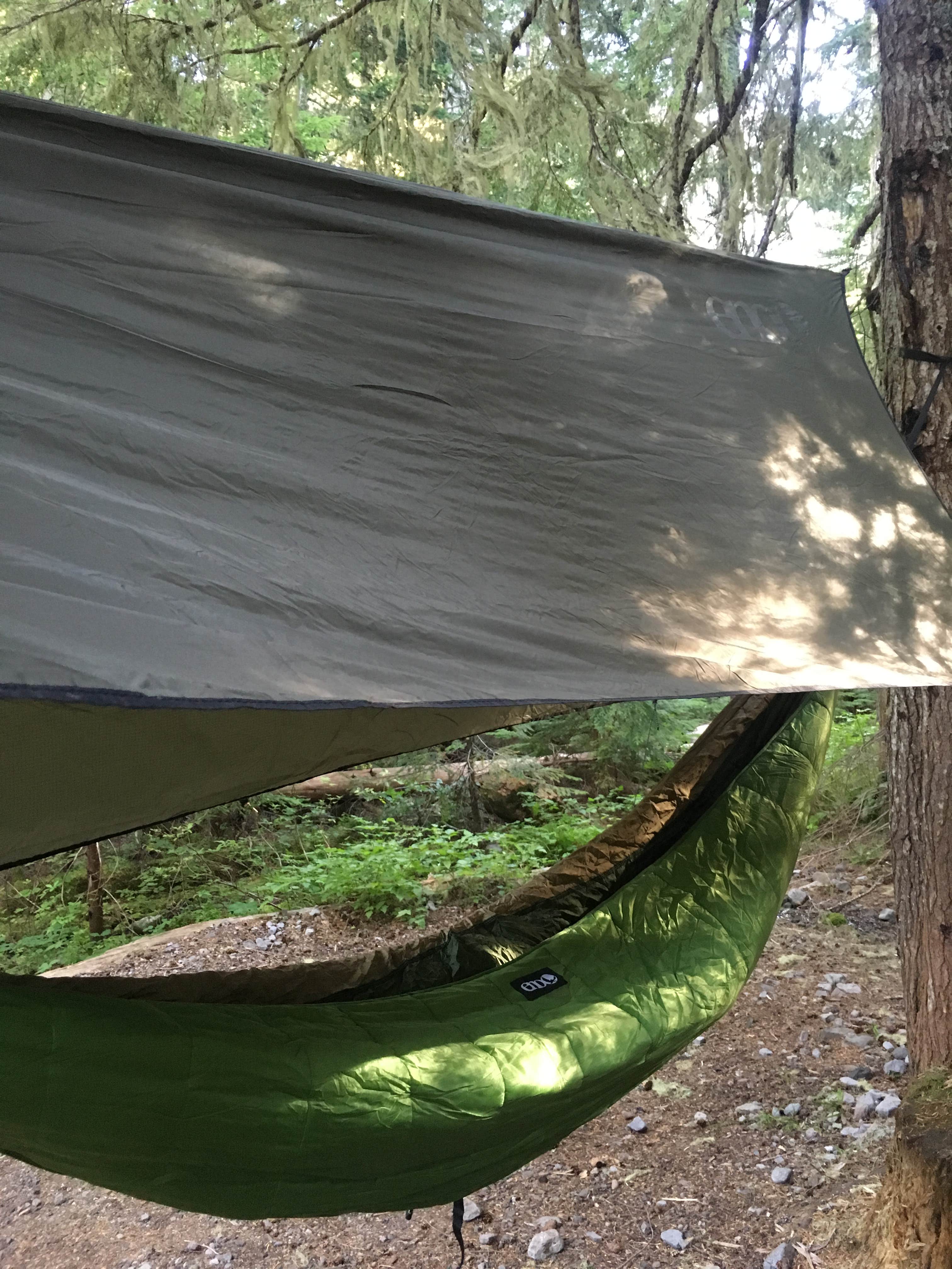 Camper submitted image from White River Campground — Mount Rainier National Park - 4