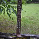 Review photo of Davidson River Campground by Myron C., July 1, 2019