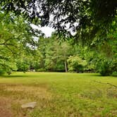 Review photo of Davidson River Campground by Myron C., July 1, 2019