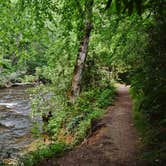 Review photo of Davidson River Campground by Myron C., July 1, 2019