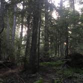 Review photo of White River Campground — Mount Rainier National Park by iloveitontop R., September 6, 2016
