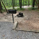 Review photo of Cloudland Canyon State Park Campground by Nate H., July 1, 2019