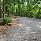 Review photo of Cloudland Canyon State Park Campground by Nate H., July 1, 2019