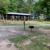 Review photo of Cloudland Canyon State Park Campground by Nate H., July 1, 2019