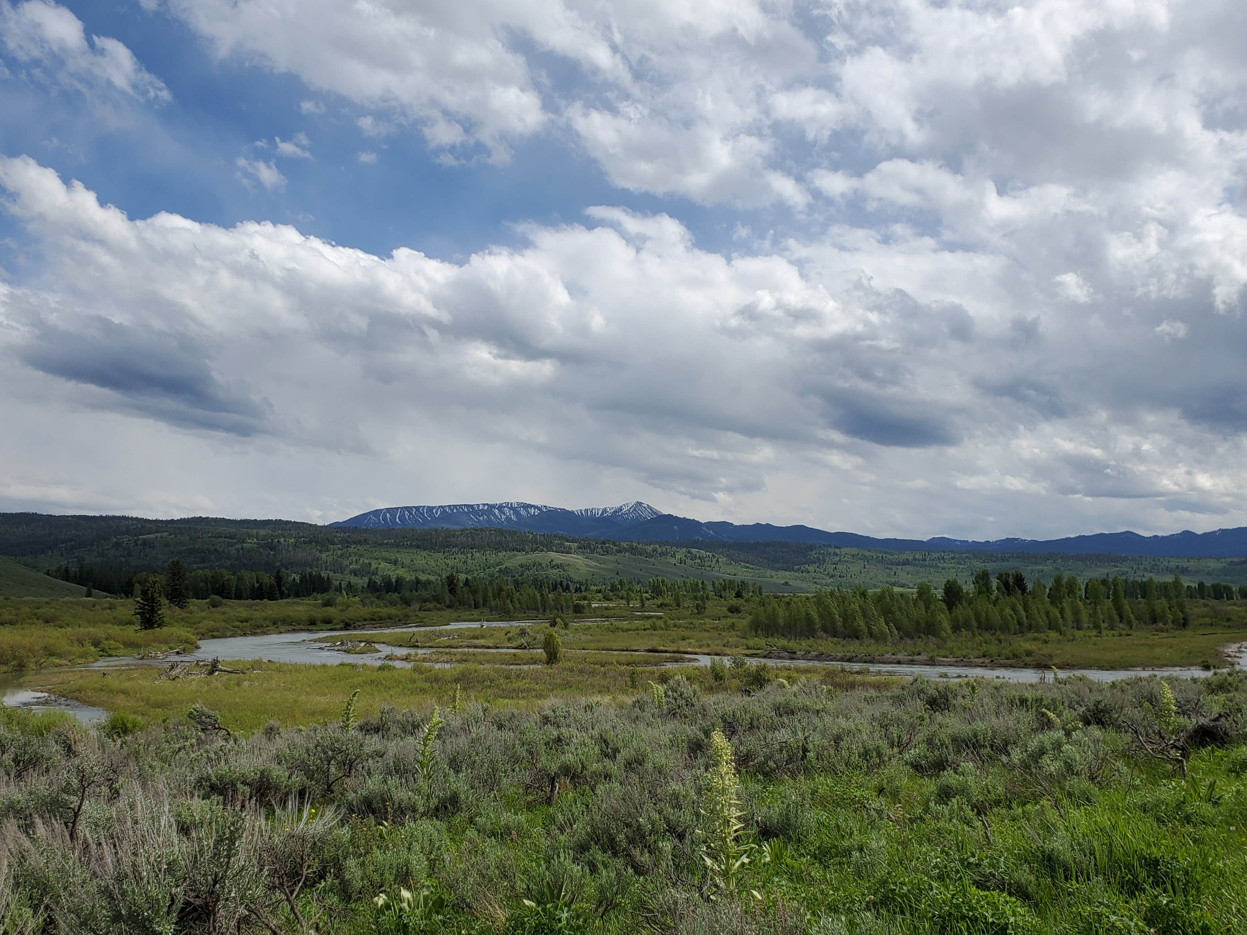 Camper submitted image from Turpin Meadows Dispersed Campground - 2