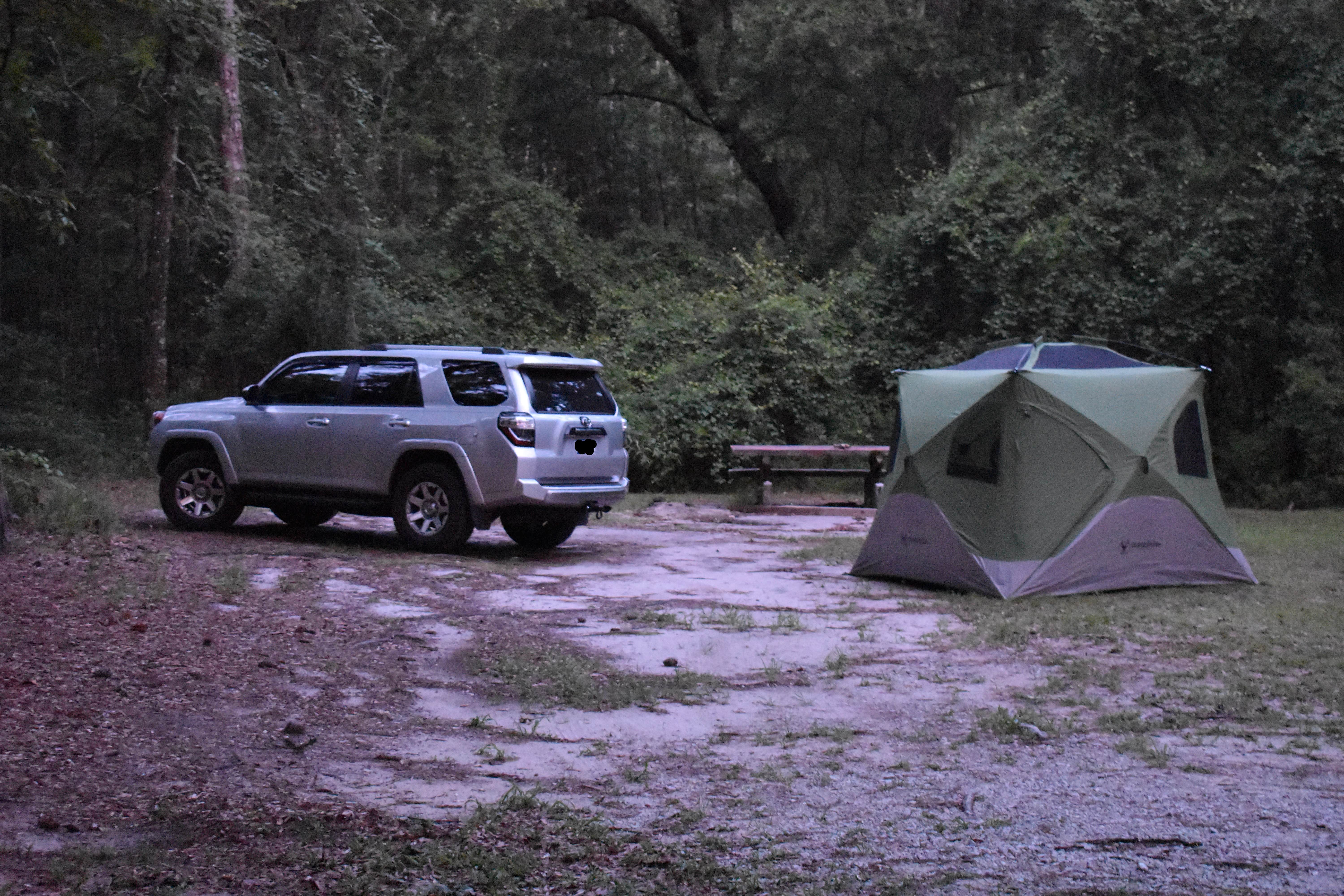 Camper submitted image from Honey Hill Recreation Area - 4