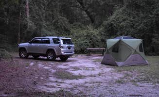 Dave A.'s photo at Honey Hill Recreation Area near Bonneau, SC