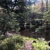 Review photo of Pattison State Park Campground by Nick K., July 1, 2019