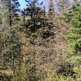 Review photo of Pattison State Park Campground by Nick K., July 1, 2019