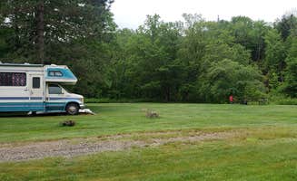Jean C.'s photo at Zealand Campground near White Mountain National Forest