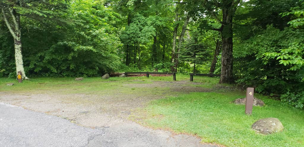 Camper-submitted photo at Zealand Campground near Twin Mountain, NH