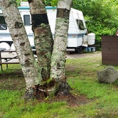 Review photo of Zealand Campground by Jean C., July 1, 2019