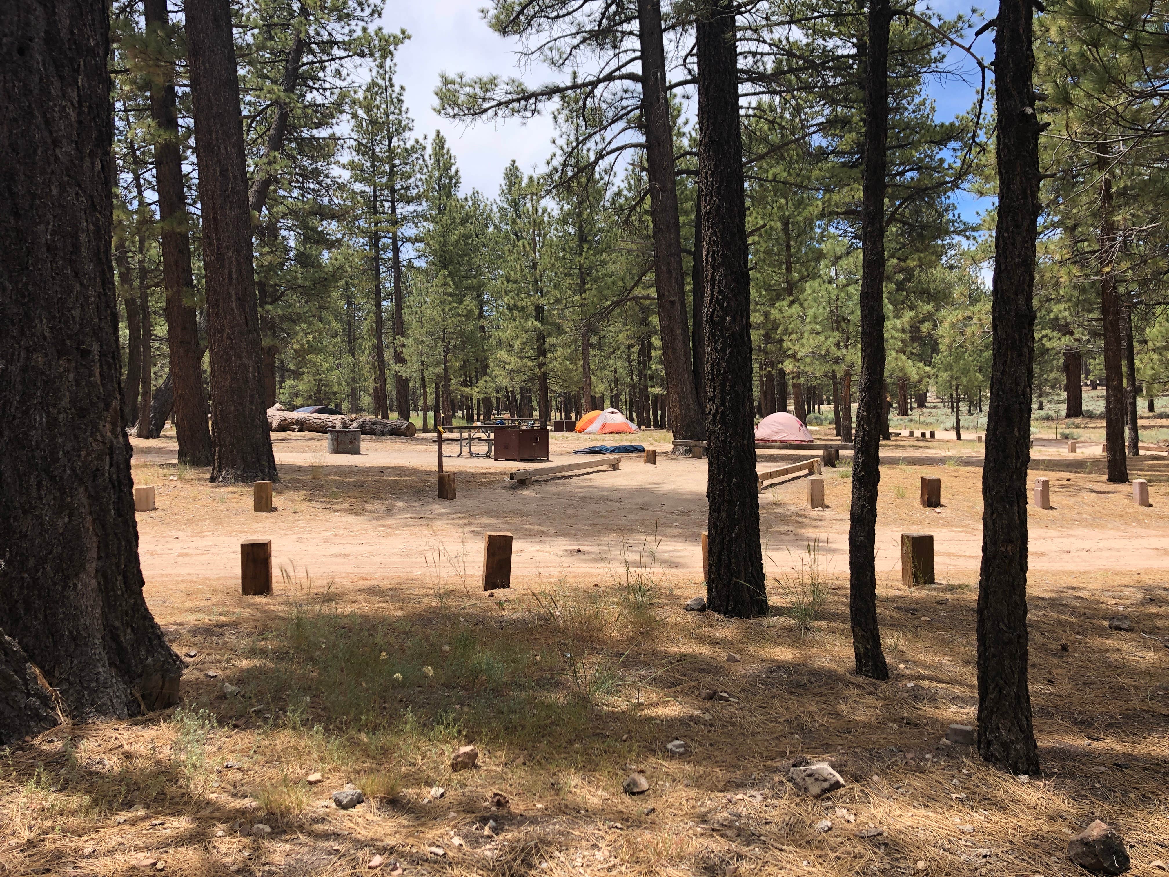 Valley Campground The Dyrt