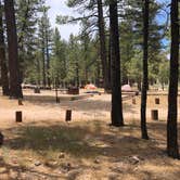 Review photo of Holcomb Valley Campground by Steven G., July 1, 2019