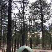 Review photo of Holcomb Valley Campground by Steven G., July 1, 2019