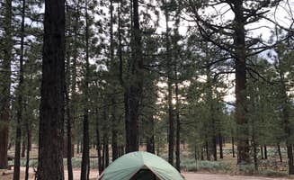 Steven G.'s photo at Holcomb Valley Campground near Big Bear Lake, CA