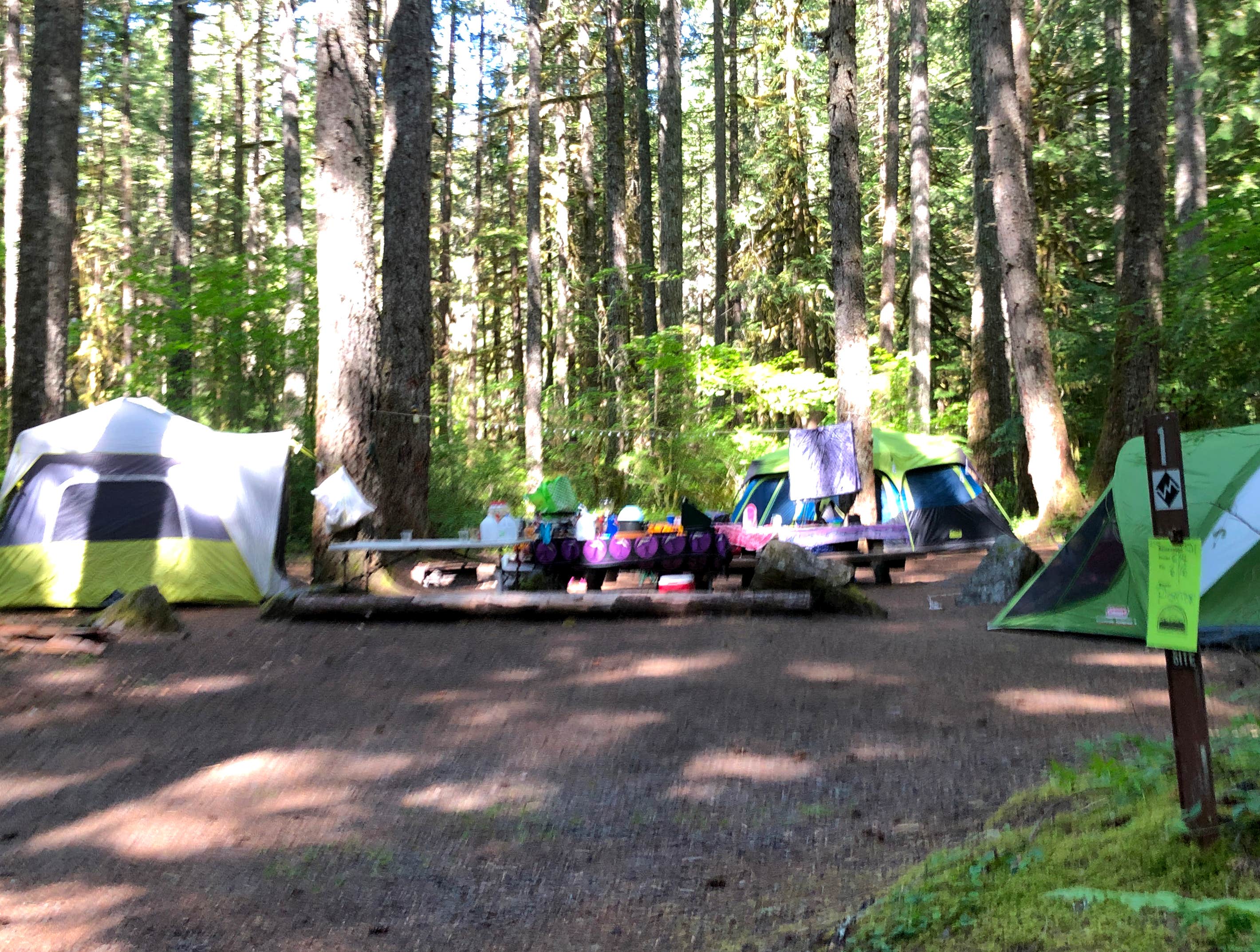 Corinna B.'s photo at Camp Creek near Government Camp, OR