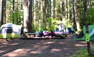 Corinna B.'s photo at Camp Creek near Rhododendron, OR