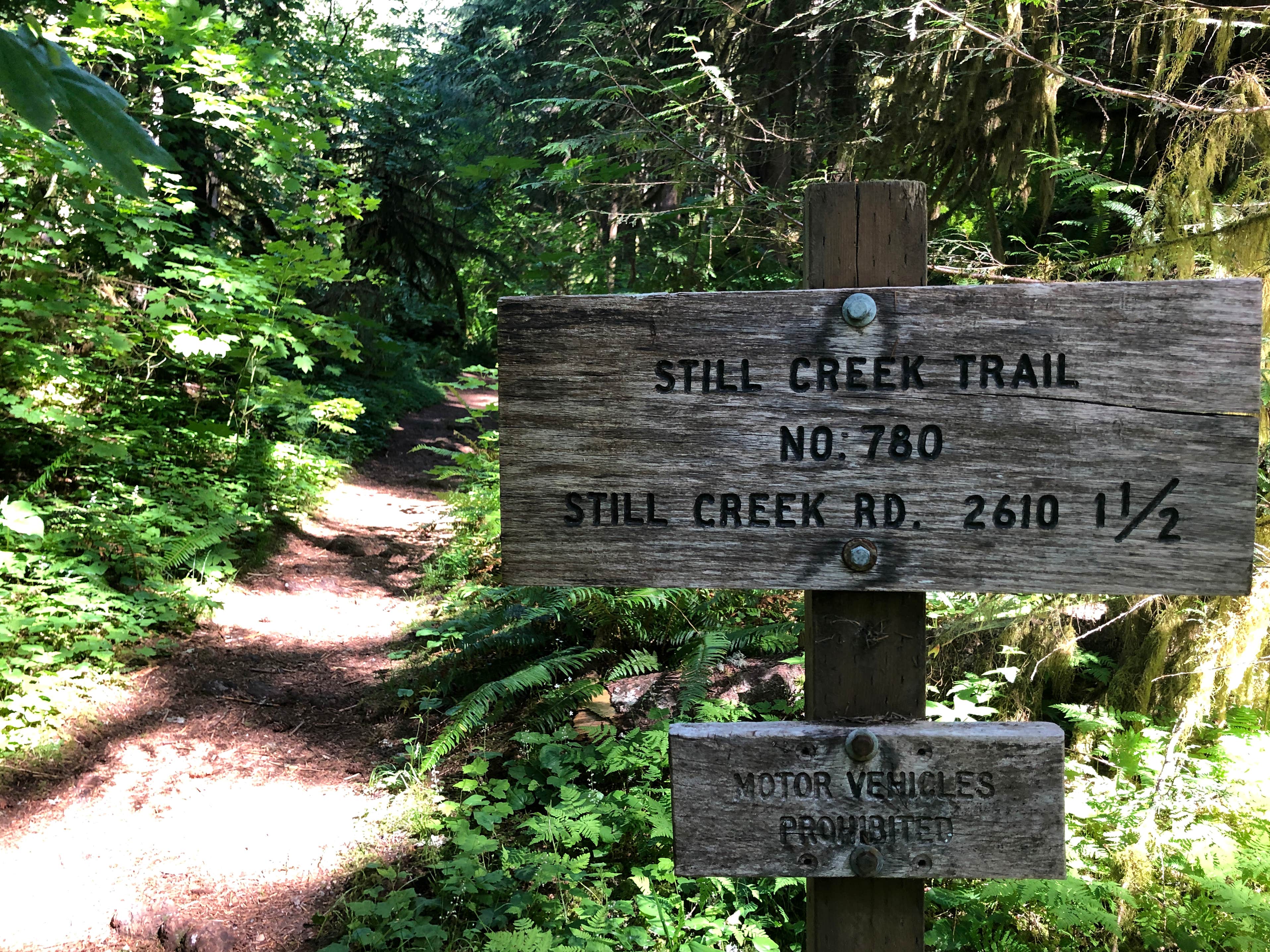 Camper submitted image from Camp Creek - 5