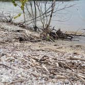 Review photo of Leelanau State Park Campground by Jami M., June 15, 2019