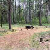 Review photo of Indian Ford Campground by Brian C., July 1, 2019