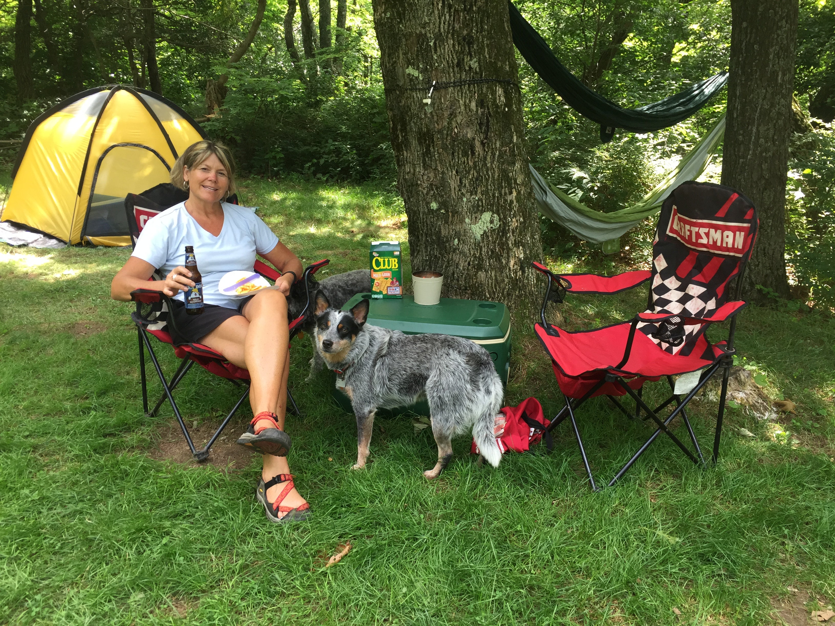 Camper submitted image from Lewis Mountain Campground — Shenandoah National Park - 4