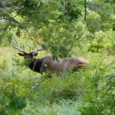 Review photo of Military Park Fort Sill Medicine Creek RV Park by Kathi V., July 1, 2019