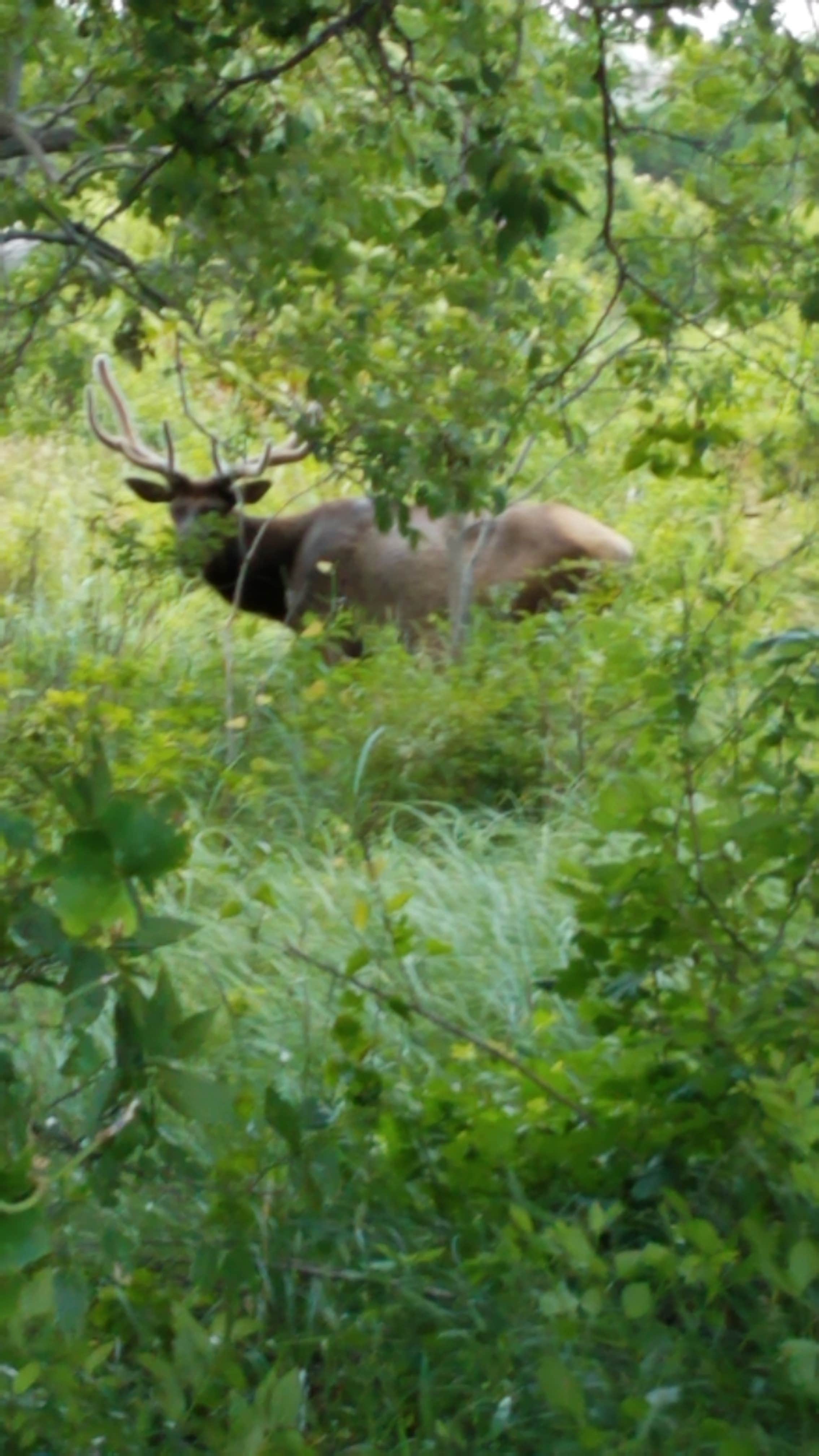 Camper submitted image from Military Park Fort Sill Medicine Creek RV Park - 1