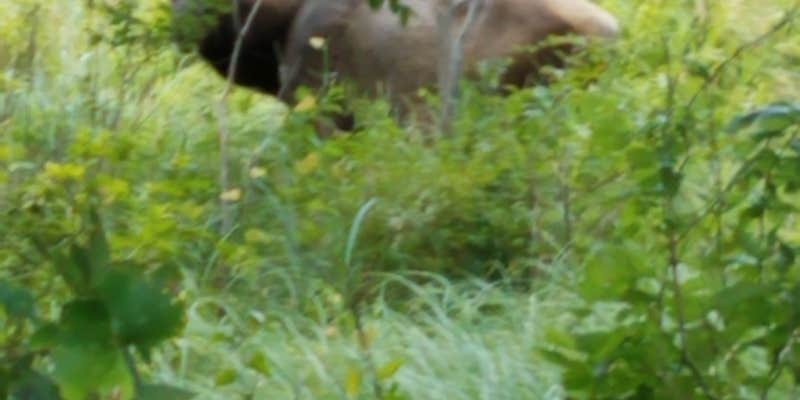 Camper submitted image from Military Park Fort Sill Medicine Creek RV Park